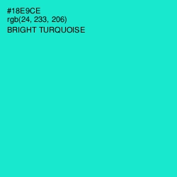 #18E9CE - Bright Turquoise Color Image